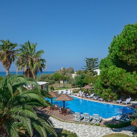 Alkyoni Beach Hotel Naxos City المظهر الخارجي الصورة