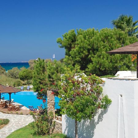 Alkyoni Beach Hotel Naxos City المظهر الخارجي الصورة