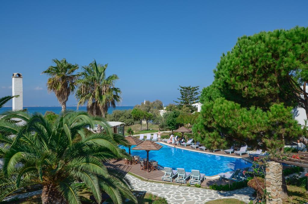 Alkyoni Beach Hotel Naxos City المظهر الخارجي الصورة